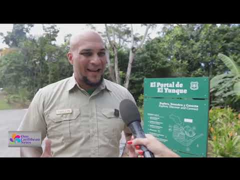 Visitor Center in National Rainforest in Puerto Rico Focused on Eco-Tourism