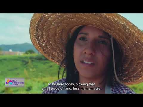 New Documentary Focuses on Challenges Facing Farmers in Puerto Rico