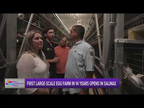First Large-Scale Egg Farm in 14 Years Opens in Salinas