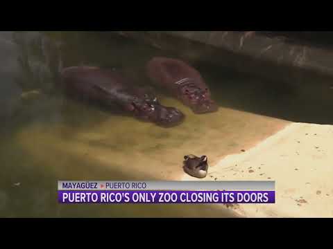 Puerto Rico’s Only Zoo Closings its Doors