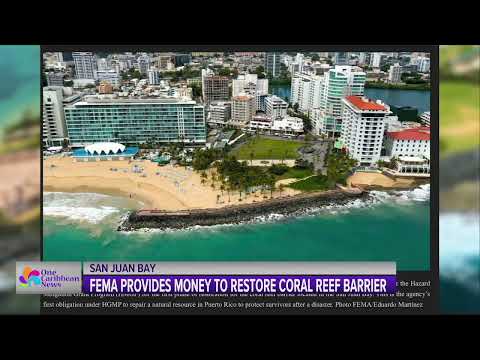 FEMA Provides Money to Restore Coral Reef Barrier in San Juan Bay