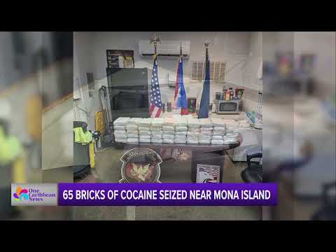65 Bricks of Cocaine Seized Near Mona Island, Puerto Rico
