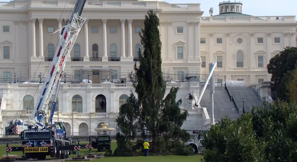 From WV to DC, the People’s Tree Stands at the People’s House