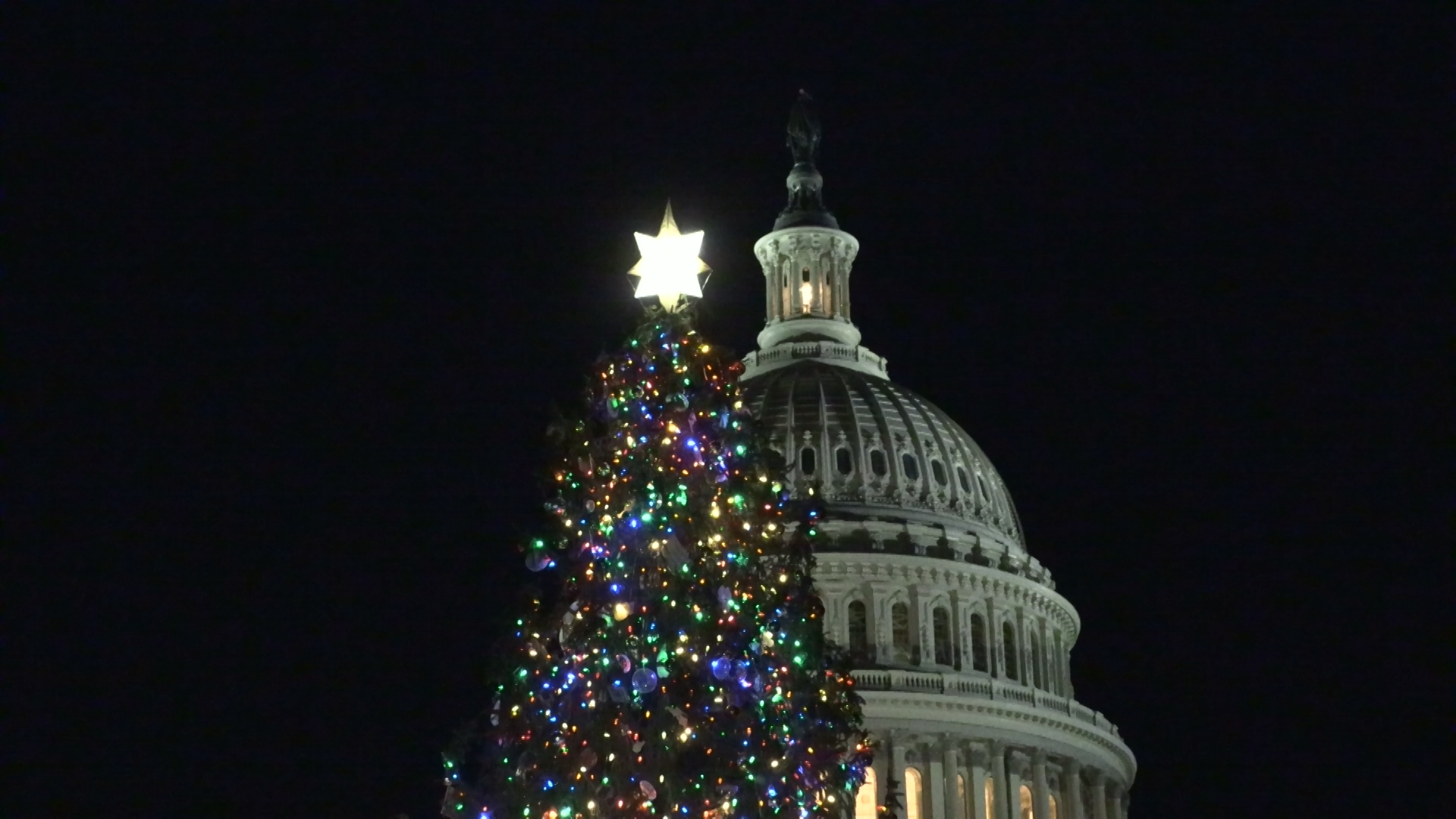 Christmas Tree Lights Up Capitol Hill with Annual Ceremony