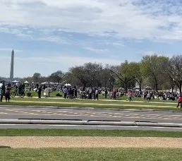 Thousands Visit National Mall in DC to Witness Partial Solar Eclipse