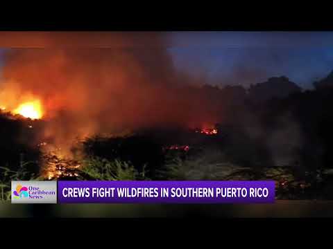Crews Fight Wildfires in Southern Puerto Rico